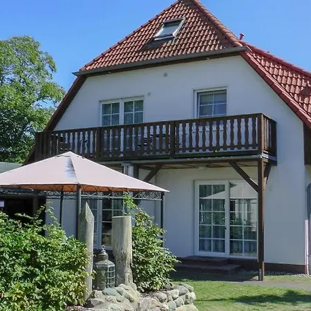 Windfluechter Treibholz Prerow