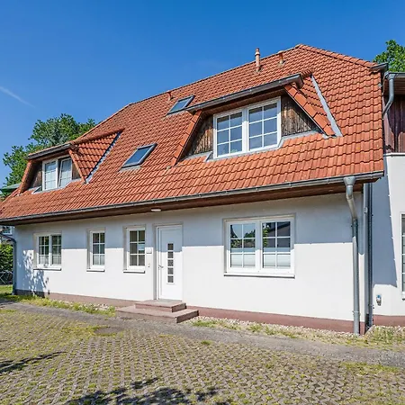 Windfluechter Treibholz Prerow