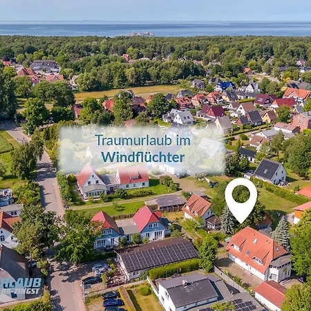 Windfluechter Treibholz * Prerow