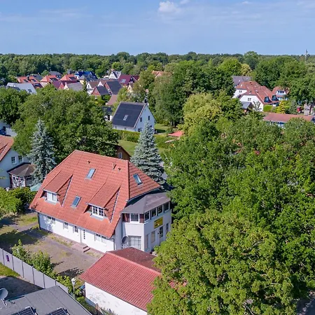 Apartment Windfluechter Treibholz *