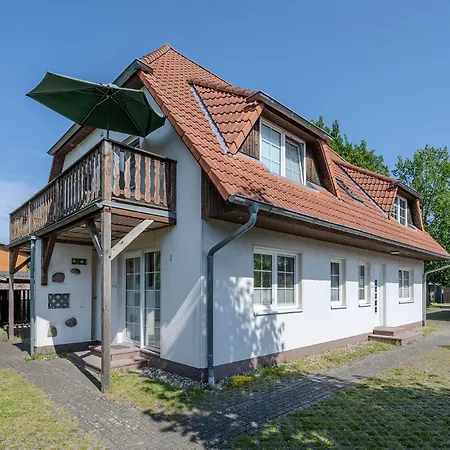 Windfluechter Treibholz *