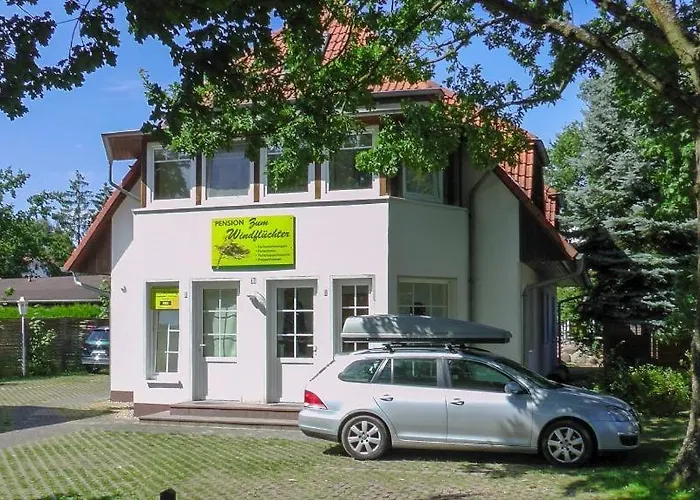 Windfluechter Treibholz Lägenhet *