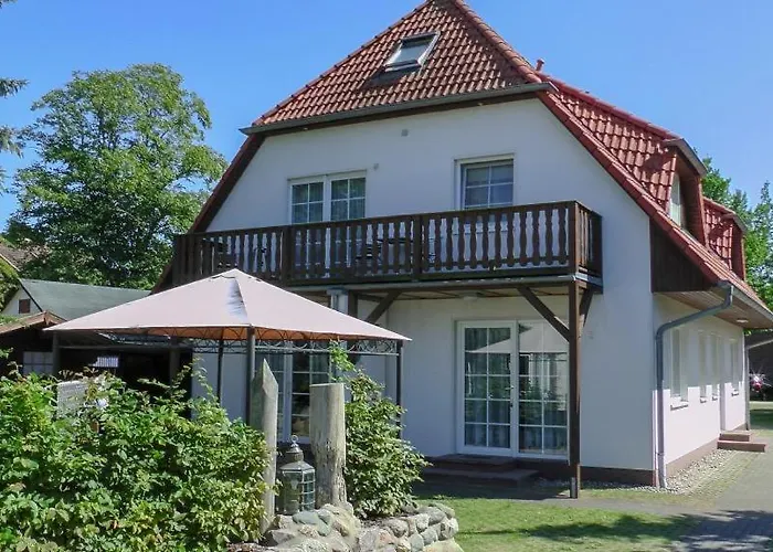 Windfluechter Treibholz Prerow